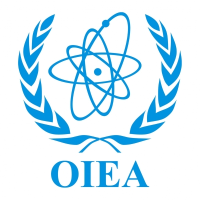 Convocatoria OIEA: &ldquo;Interregional Workshop on Transitioning from 2-D to 3-D Radiation Therapy for Cervical Cancer&rdquo;