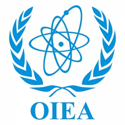 Convocatoria OIEA - Taller sobre Inteligencia Artificial para Acelerar la Ciencia de la Fusión y del Plasma